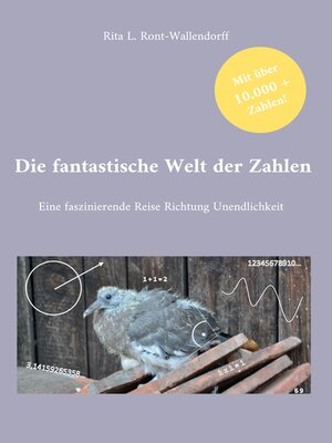 cover image of Die fantastische Welt der Zahlen